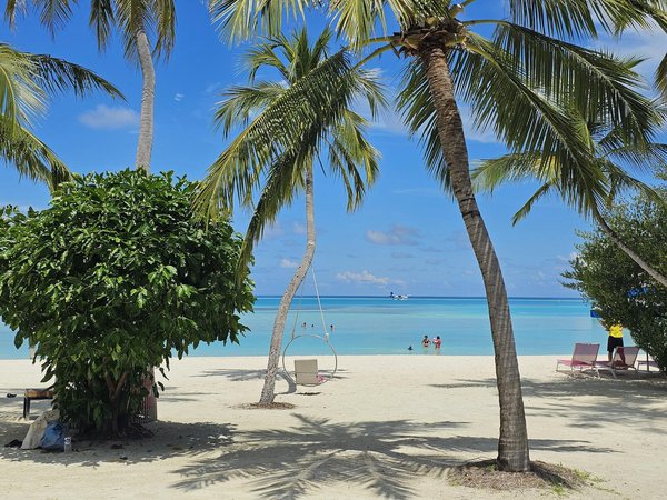 Quelles croisières offrent des randonnées pour découvrir les cascades en Nouvelle-Zélande?