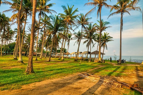 Peut-on trouver une croisière proposant des ateliers de fabrication de tapis persans en Iran?